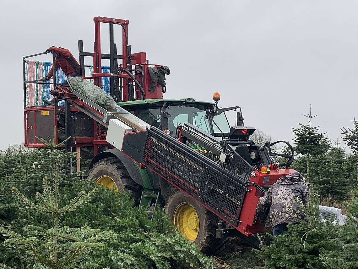Palettier- und Netzmaschine von Treepacker
